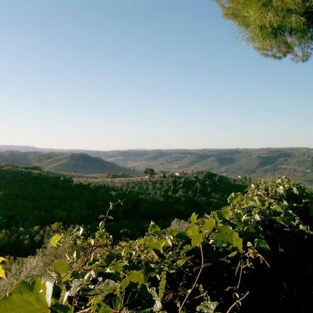 Il Fedino San Casciano in Val di Pesa
